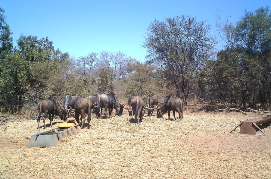 Commercial Property for Sale in Swartruggens North West